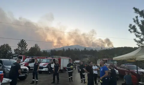Столична община: Авариен екип и доброволци се включиха в гасенето на пожара край с. Илинденци - 1