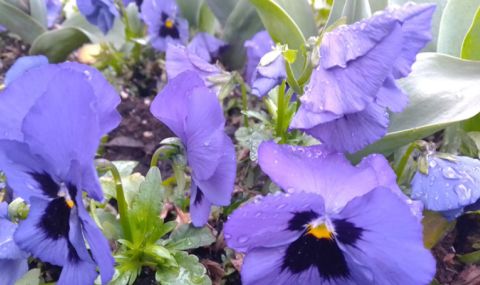 Времето днес, прогноза за четвъртък, 6 април: Слънчево на север, облачно на юг - 1