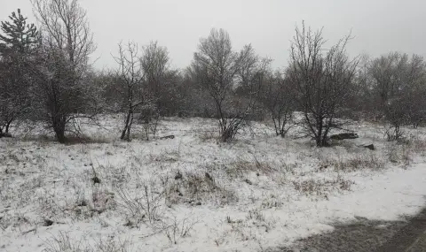 ПСС: Ветровито е времето в планините, на повечето места снежната покривка е заледена - 1