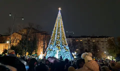 A Christmas tree lit up in front of the Alexander Nevsky monument (VIDEO)  - 1