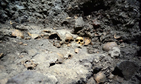 В Мексико откриха стена от черепи - 1