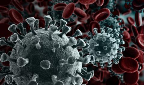 Светила в БГ медицината посочиха 2 мощни средства срещу коронавируса - 1