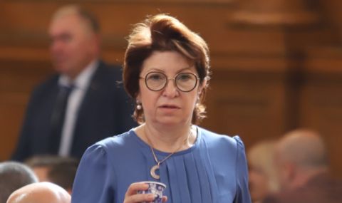 Рена Стефанова: Няма съмнение, че в момента Радев управлява страната - 1