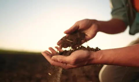 Земеделците в Чили използват човешка коса, за да се борят със сушата (ВИДЕО) - 1