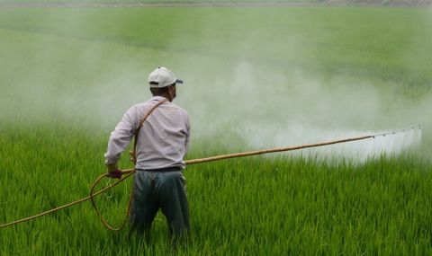ОЛАФ участвала в задържането на 11 тона забранени пестициди у нас - 1