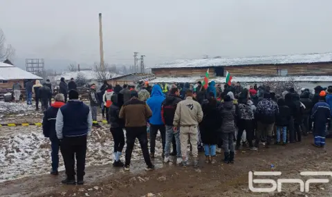 Подкрепа за фермерите, чиито стада бяха диагностицирани с чума - 1