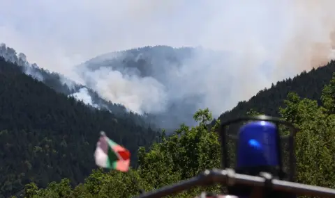 Пожар гори в района на връх Синаница в Пирин - 1