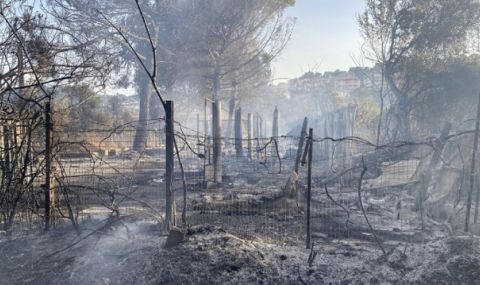 Черна статистика! Италия е европейски първенец по брой на пожарите - 1