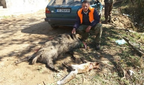Инженер отстреля 100-килограмова дива свиня и лисица - 1