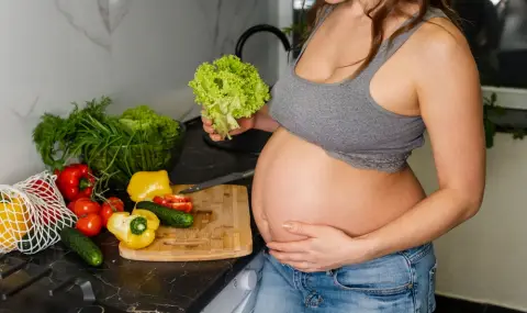 Диетолог: Веганството и суровоядството при бременност водят до бебета с ниско тегло - 1