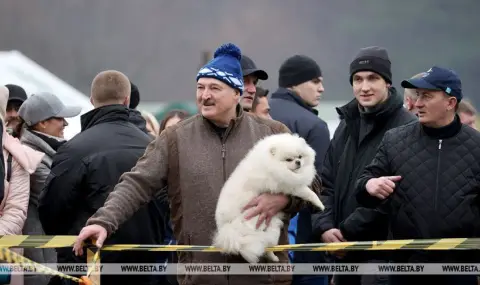 Зеленски: Кучето на Лукашенко има повече права от беларуските граждани
