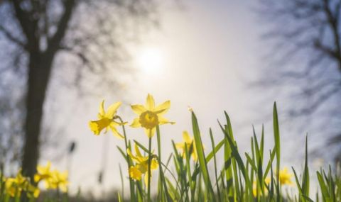 Времето днес, прогноза за петък, 12 май: Валежите спират, облачността се разкъсва и намалява - 1