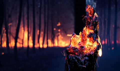 Заплахата от горски пожари намалява - 1