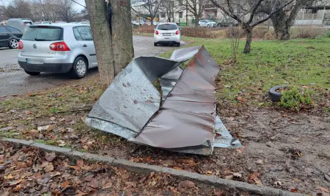 Strong wind knocked down trees and insulation of buildings in Pernik  - 1