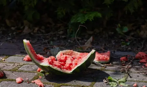 Удариха с диня в главата клиент в Кюстендилско - 1