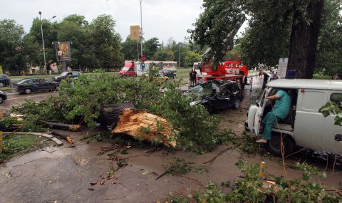 Дърво падна върху пет коли в Бургас - 1