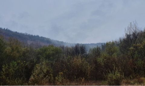 Прогноза за времето днес, 26 февруари: Топло за сезона, значителна облачност - 1