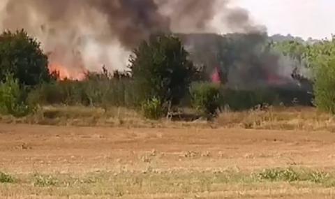 Пожарът в Харманлийско затвори част от АМ „Марица“ - 1