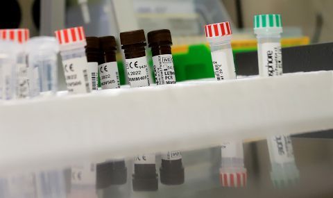 Хванаха трима българи с фалшиви ПСР тестове на границата с Румъния - 1