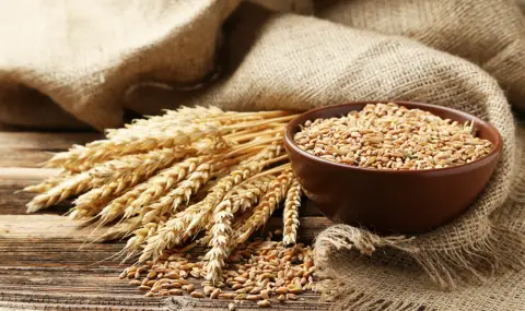 Пшеницата - лек за камъни в бъбреците - 1
