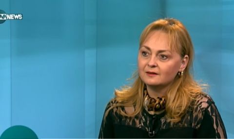 Поли Карастоянова: Трябва план за бежанците след 31 май - 1