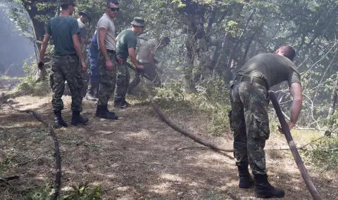 Двама души са арестувани за умишлен палеж заради голям горски пожар в Албания - 1