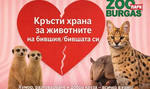 14 февруари в зоопарка в Бургас: Кръсти африкански червей на бившия и нахрани суриката Тимон - 1