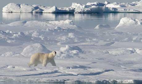 Русия поднови офертата си за спорните арктически региони - 1