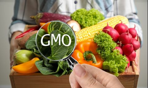 Украйна умува дали да разреши производството на ГМО - 1