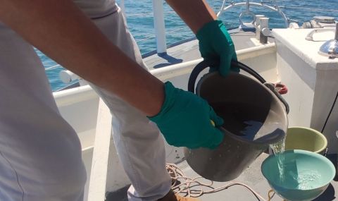 Басейнова дирекция – Варна: Черно море е чисто - 1