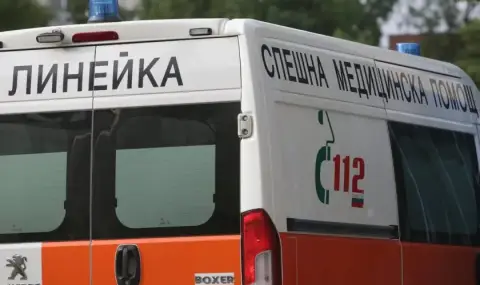 Домашно куче нахапа две момченца в Бургас - 1