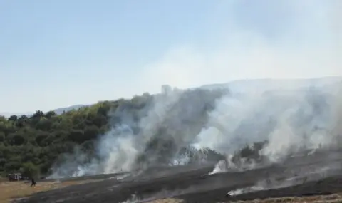  Пожарът в Северна Македония прехвърли границата! Вече гори и в България! - 1