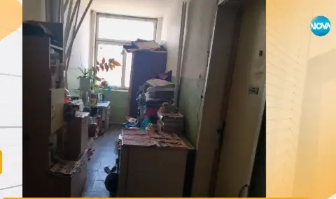 Във войната между съседи се включиха плъхове и дървеници - 1