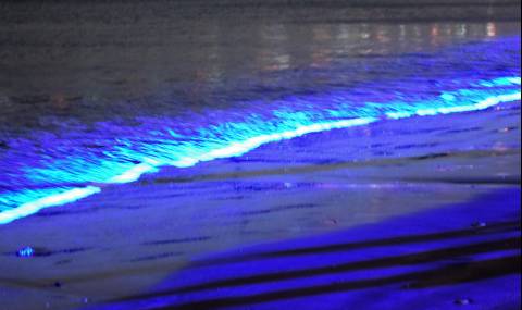 5 удивителни крайбрежия, които светят - 1