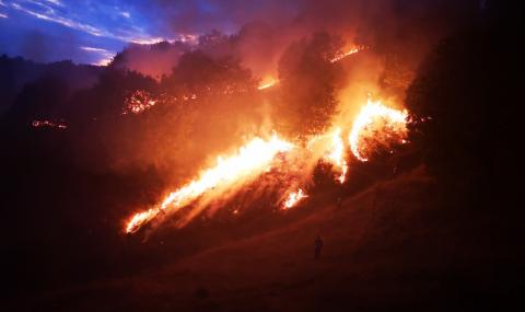 Пожар заличи над 650 декара гори в Петричко (СНИМКИ) - 1