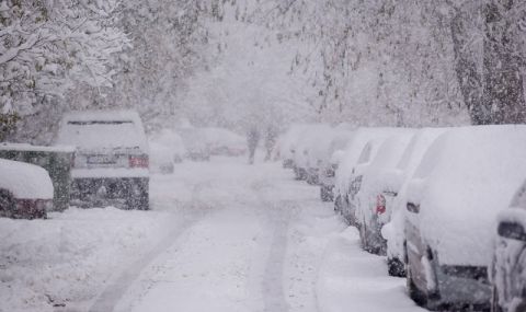 Десетки хиляди домакинства без ток в Сърбия след първия сняг - 1