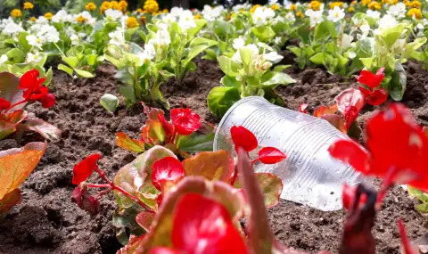 Милиони чаши от детските градини у нас замърсяват околната среда - 1