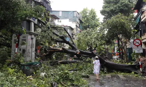 Typhoon Yagi kills at least 14 and injures about 200 people in Vietnam  - 1