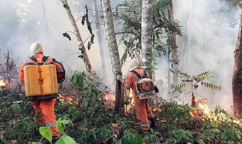 Повече горски пожари в амазонската джунгла в Бразилия през юли - 1