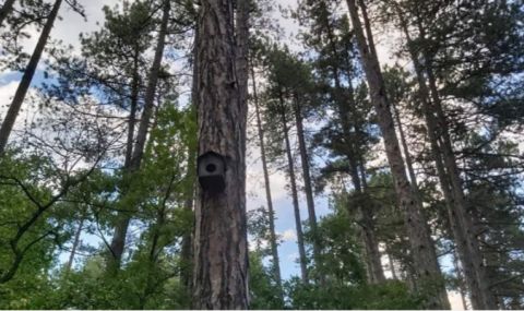 Времето остава хладно за сезона - 1