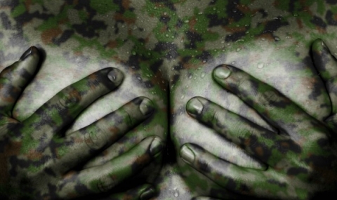 Секс скандал разтресе Бундесевера - 1