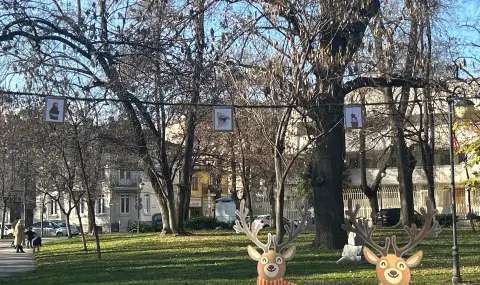 Картините на Сияна станаха част от коледната украса в Пловдив