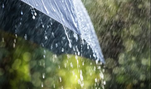 Сидни държи рекорда по валежи - 1