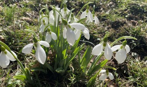 Прогноза за времето днес, 25 февруари: Ветровито, облачността се увеличава от запад - 1