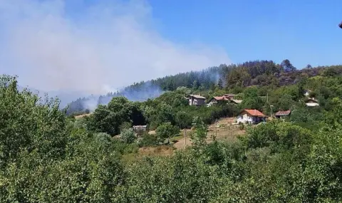 Пожар гори и в района на Банкя - 1