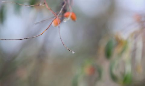 Времето днес, прогноза за вторник, 5 септември: Облачно и ветровито - 1