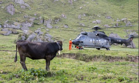 Евакуират ранени крави с хеликоптер от Алпите (СНИМКА) - 1
