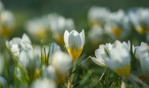 Времето днес, прогноза за четвъртък, 5 март: Дневните температури падат, валежи в Централна България