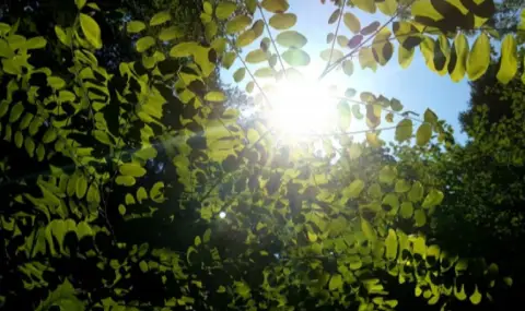 Weather today, forecast for Thursday, May 1: Sunny with afternoon showers  - 1