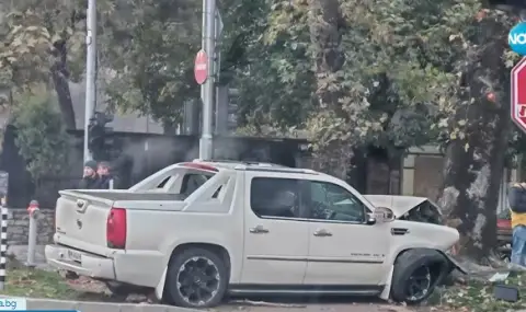 Шофьор избяга от катастрофа, удари светофар и се заби в дърво - 1